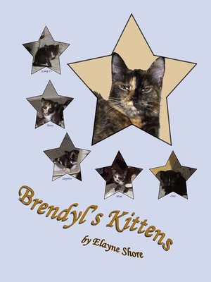 cover image of Brendyl's Kittens